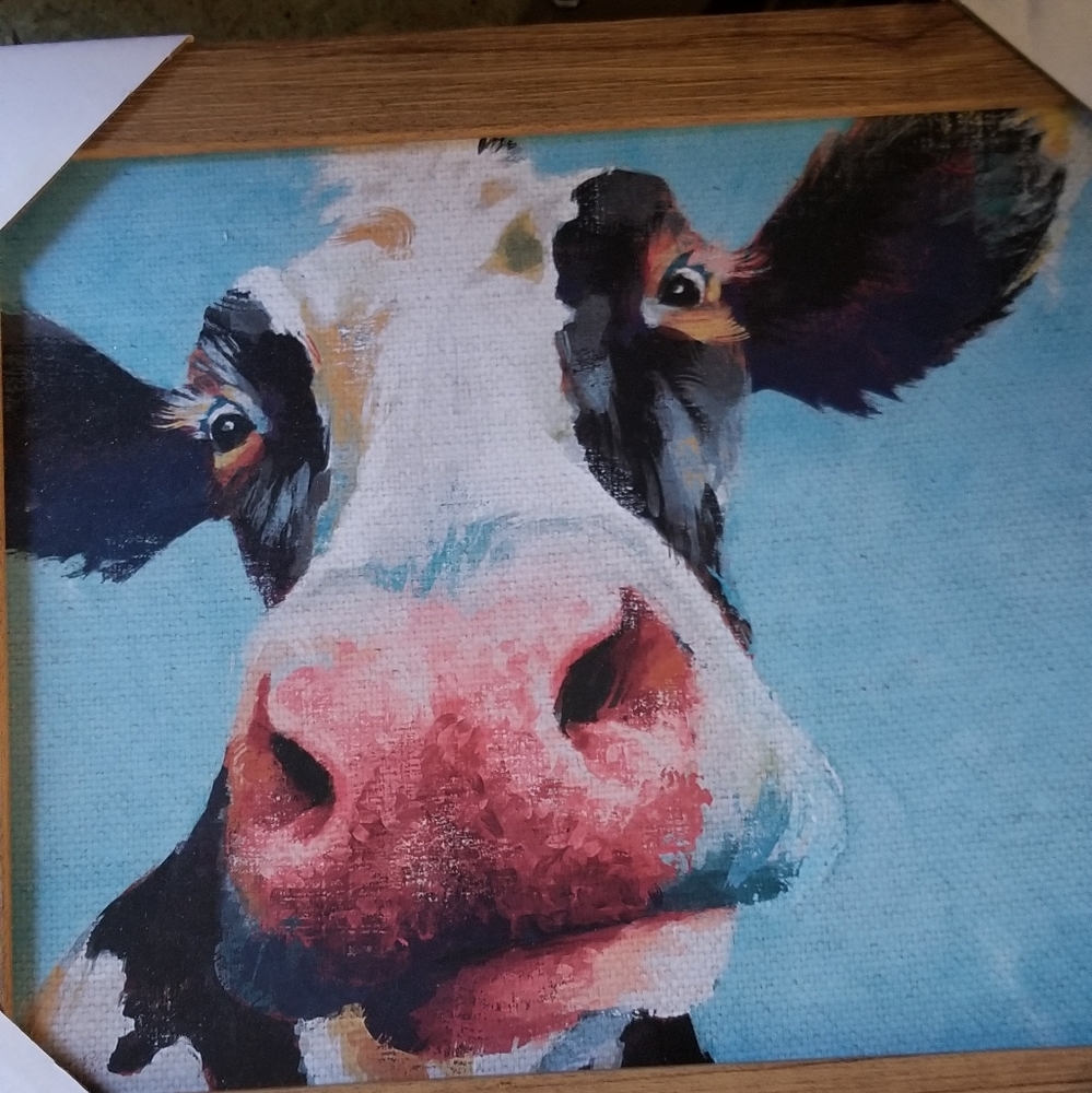 Cow Picture
